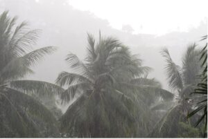 do I need hurricane windows or shutters